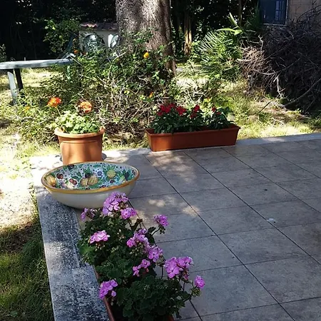 Appartamento Marina *